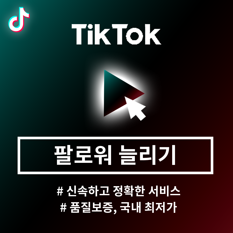 틱톡 팔로우