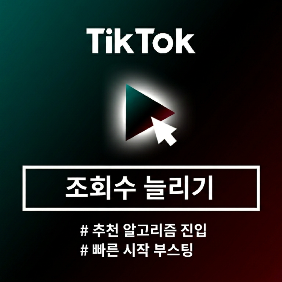 틱톡 조회수